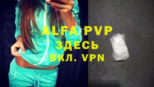 гашик Абинск