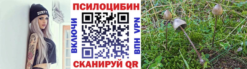 Галлюциногенные грибы мухоморы кракен ТОР Фёдоровский